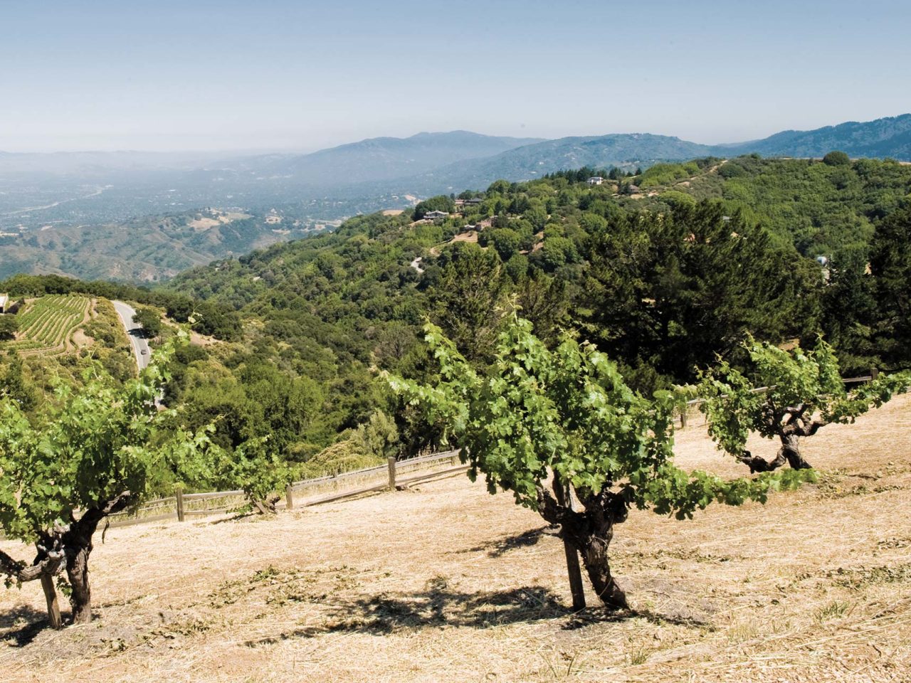 [Video] World-Acclaimed Legendary Napa Valley Wineries