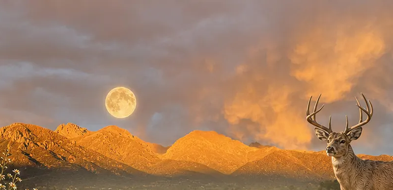 Buck Moon Feast header